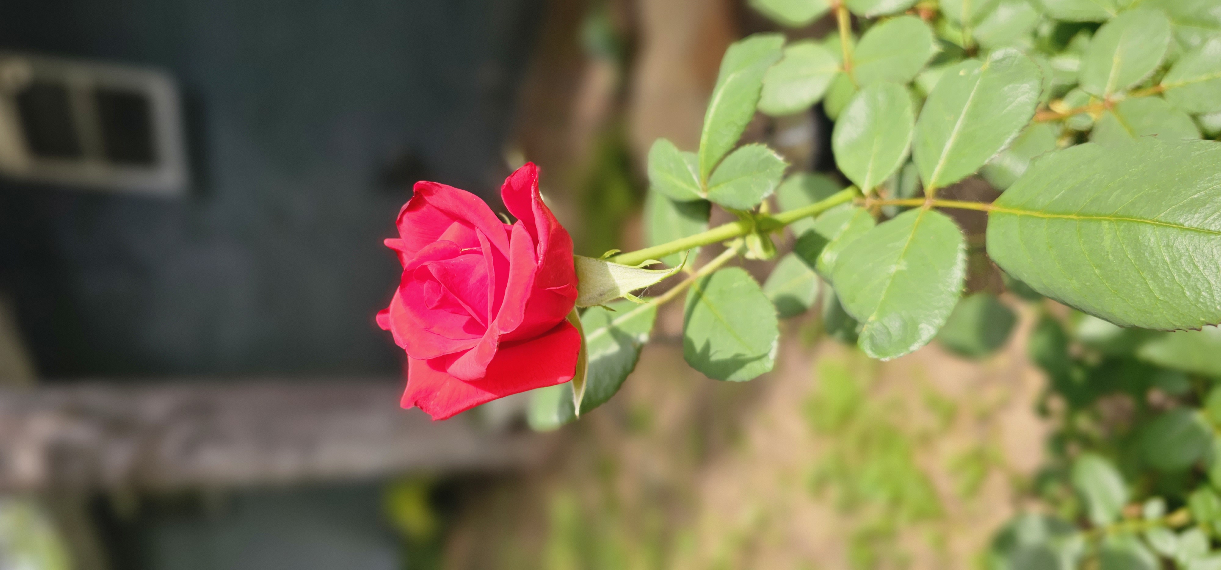 Cape Booking System, a place to contact near by HouseCleaning in Fort Worth Texas